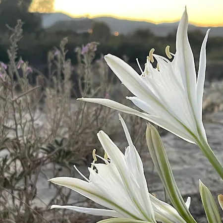 Sunrise Sardinia Posada-2